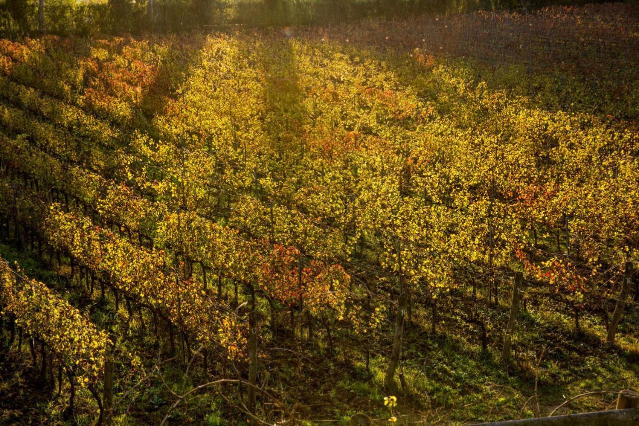 Agriturismo Gli Archi Fauglia Zewnętrze zdjęcie