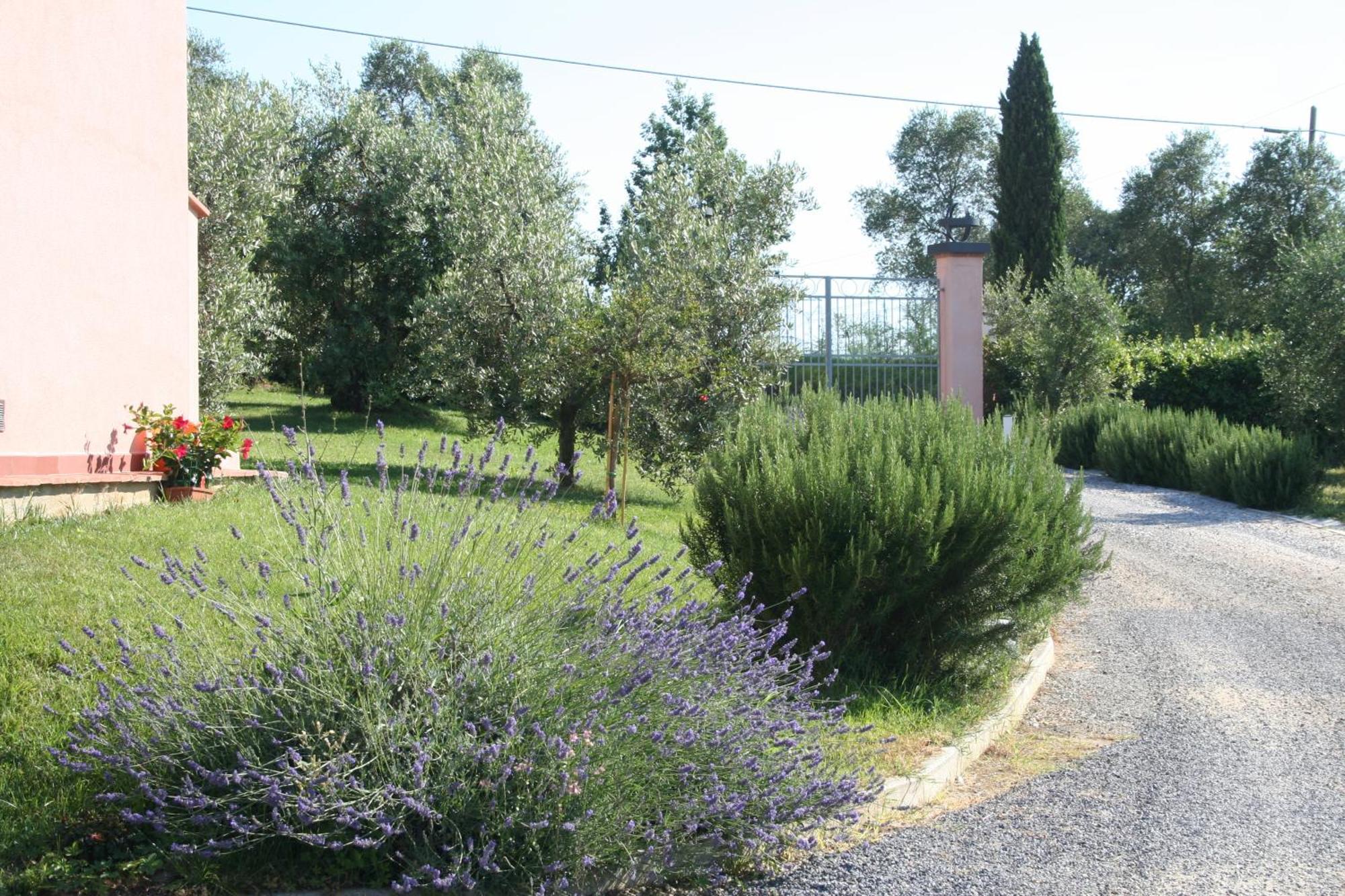 Agriturismo Gli Archi Fauglia Zewnętrze zdjęcie