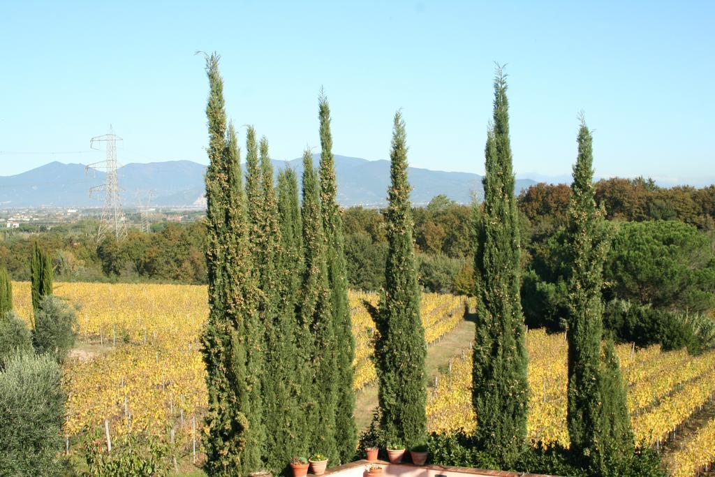 Agriturismo Gli Archi Fauglia Zewnętrze zdjęcie
