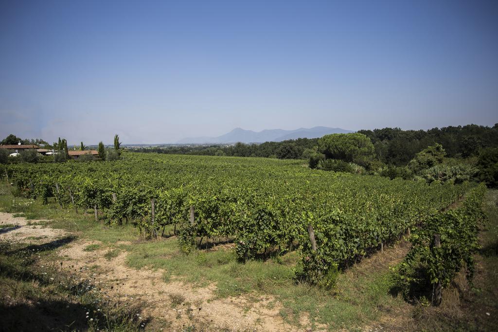 Agriturismo Gli Archi Fauglia Zewnętrze zdjęcie