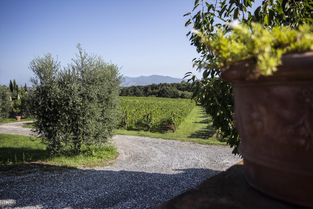 Agriturismo Gli Archi Fauglia Zewnętrze zdjęcie