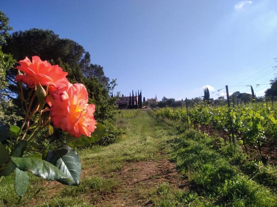 Agriturismo Gli Archi Fauglia Zewnętrze zdjęcie