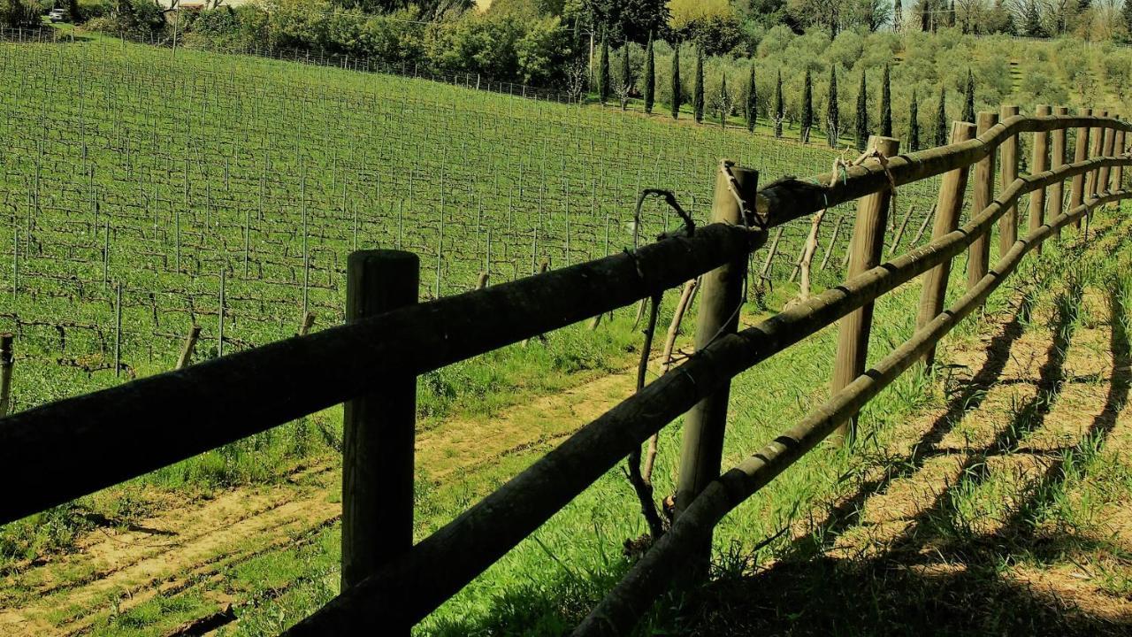 Agriturismo Gli Archi Fauglia Zewnętrze zdjęcie